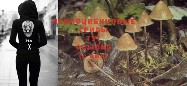 соль ск Киреевск