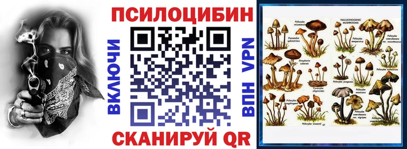 Псилоцибиновые грибы Psilocybine cubensis  Купить закладки  Сунжа 