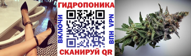 Марихуана планчик  Купить  Сунжа 